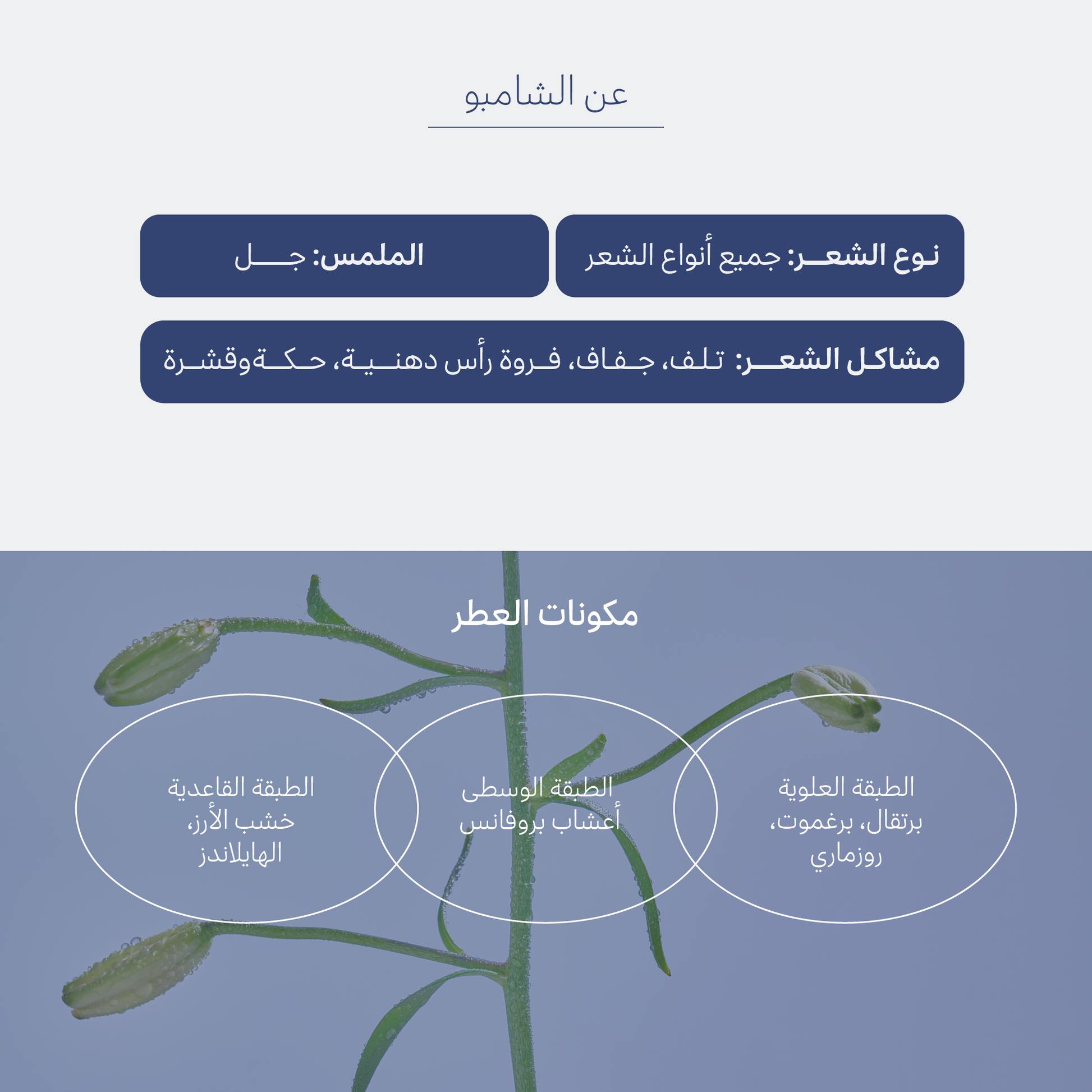 Treecell Shampoo for Hair Loss